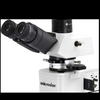 Microscopio polarizzatore iPLM-43