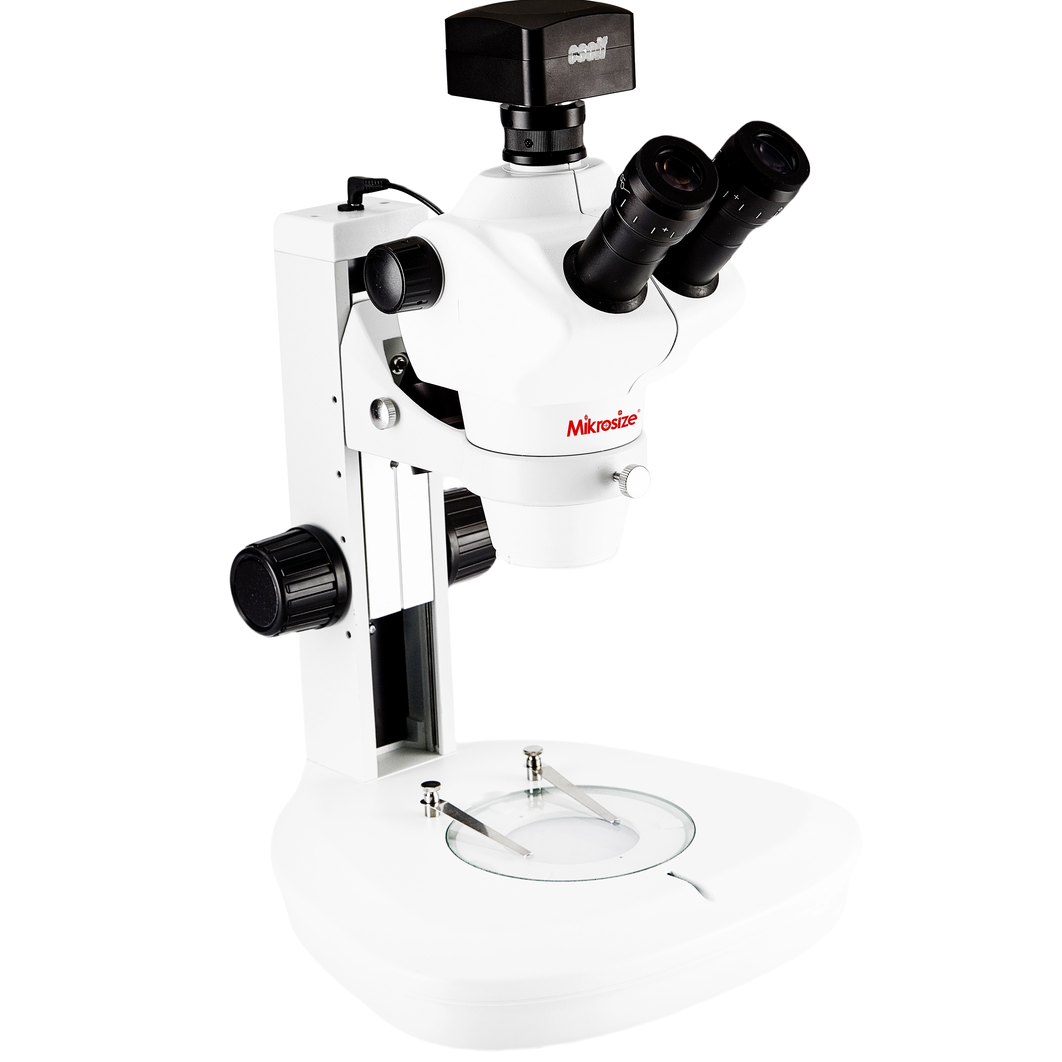 Stereomicroscopio iStereo-211VT