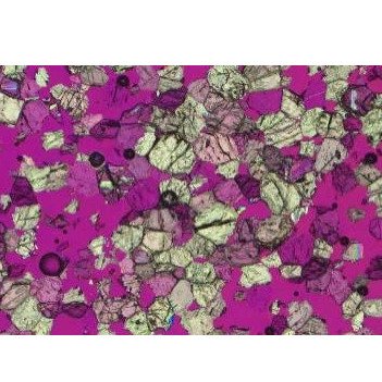 Microscopio polarizzatore iPLM-43