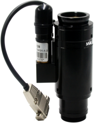 Codice articolo LZ-650104