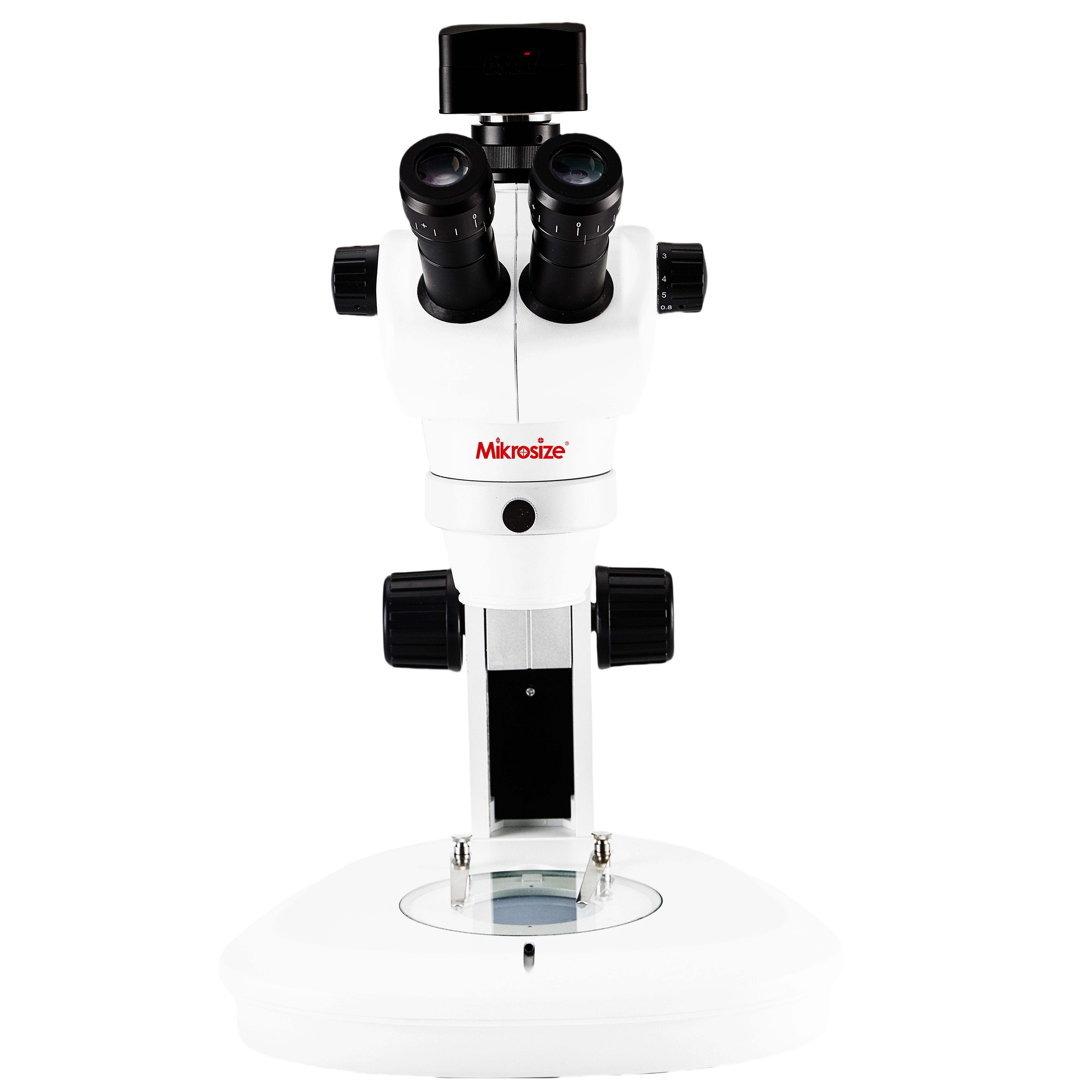 Stereomicroscopio iStereo-211VT