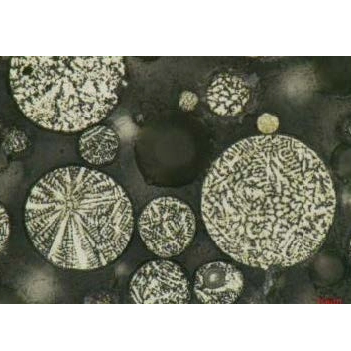 Microscopio polarizzatore iPLM-43