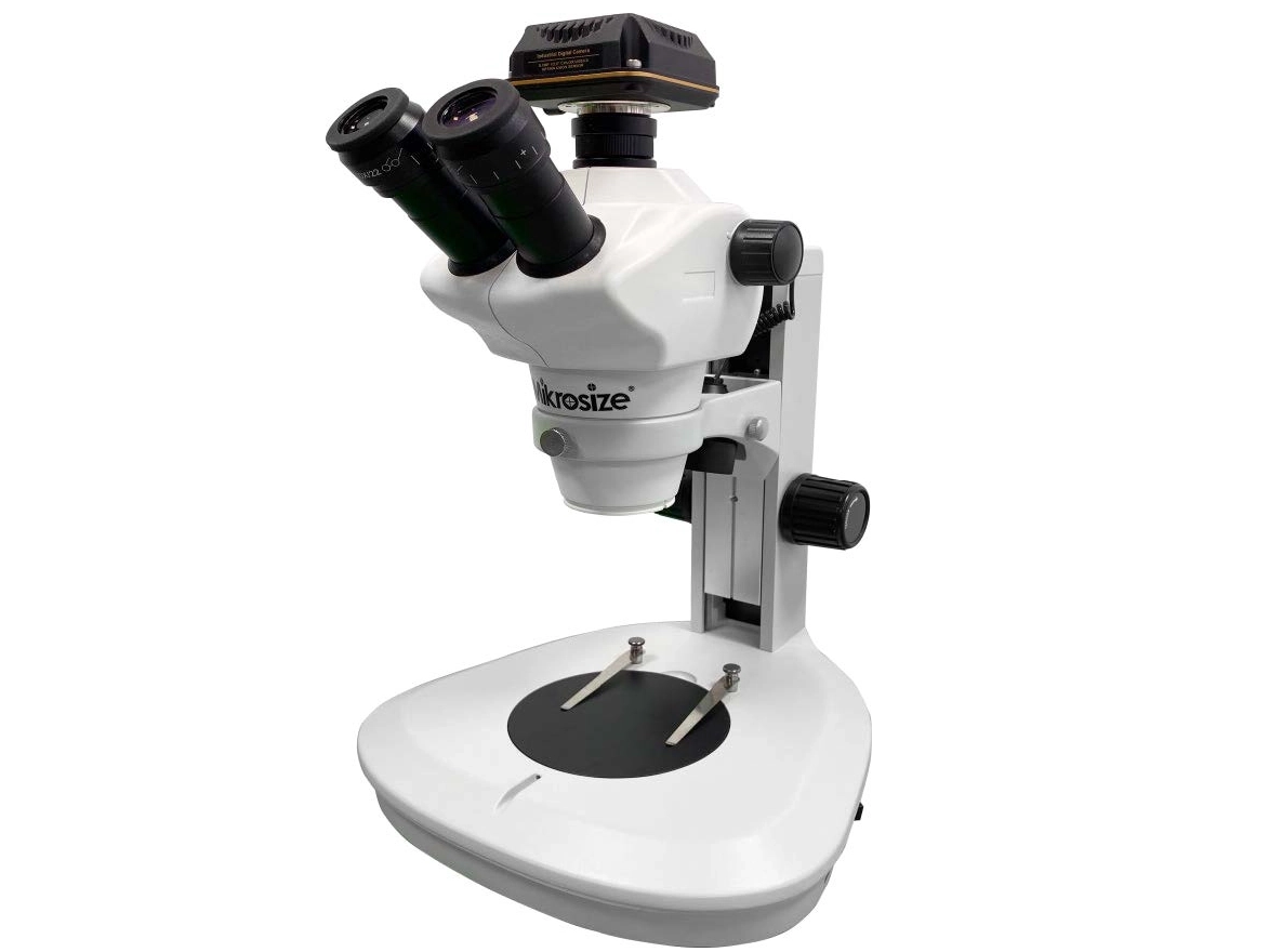  Miglior produttore di stereomicroscopi iStereo-211VT --- Raccomandazione pertinente