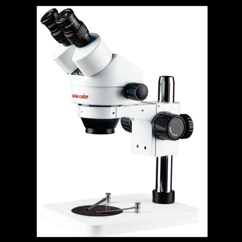 iStereo-85B Stereomicroscopio a zoom continuo